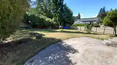 Big backyard